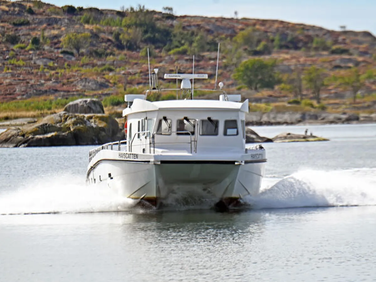 Catamaran for sale