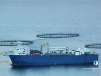 Reefer ship for sale