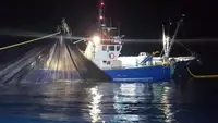 Trawler for sale