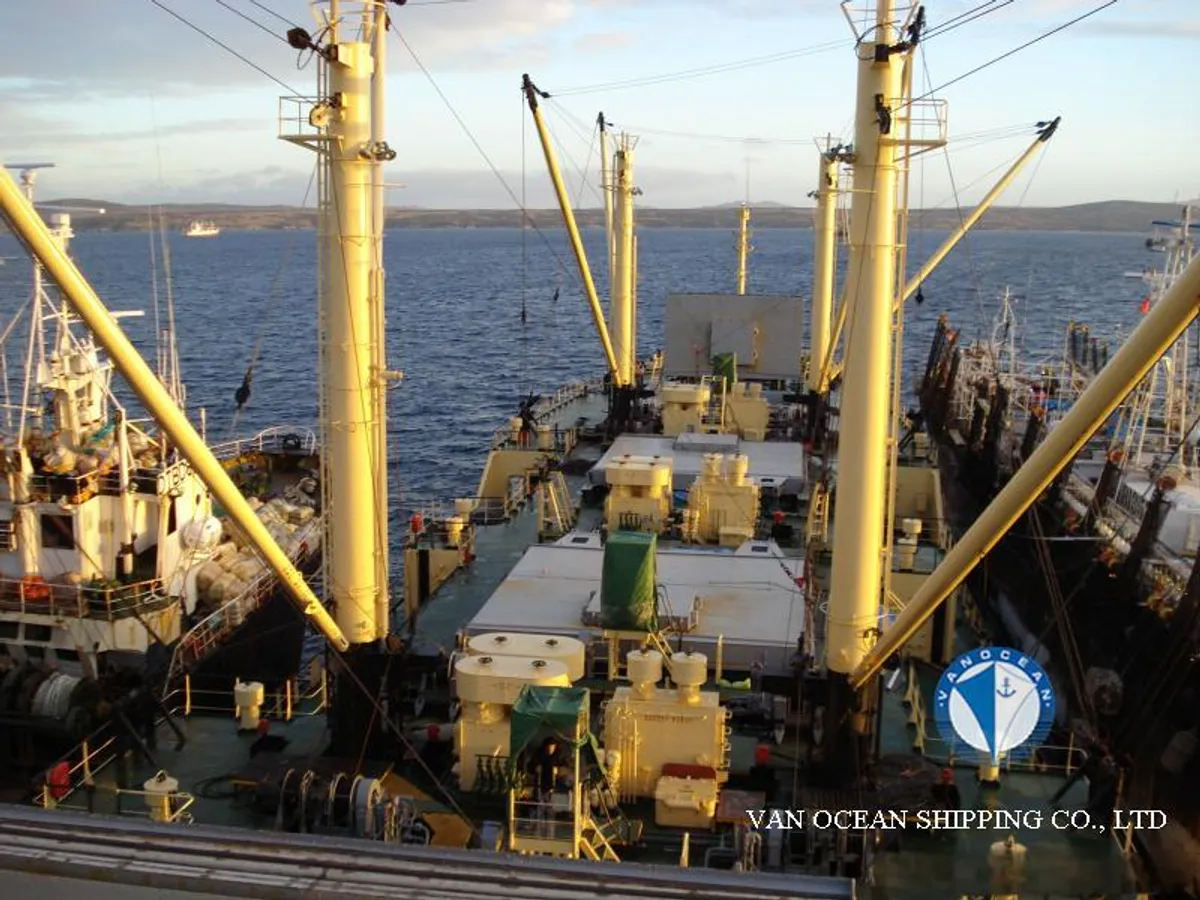 Reefer ship for sale