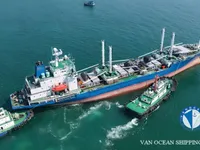 Reefer ship for sale