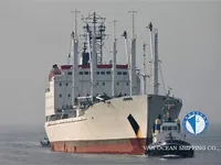Reefer ship for sale