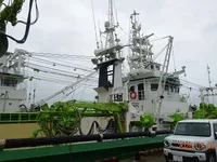 Purse seiner for sale