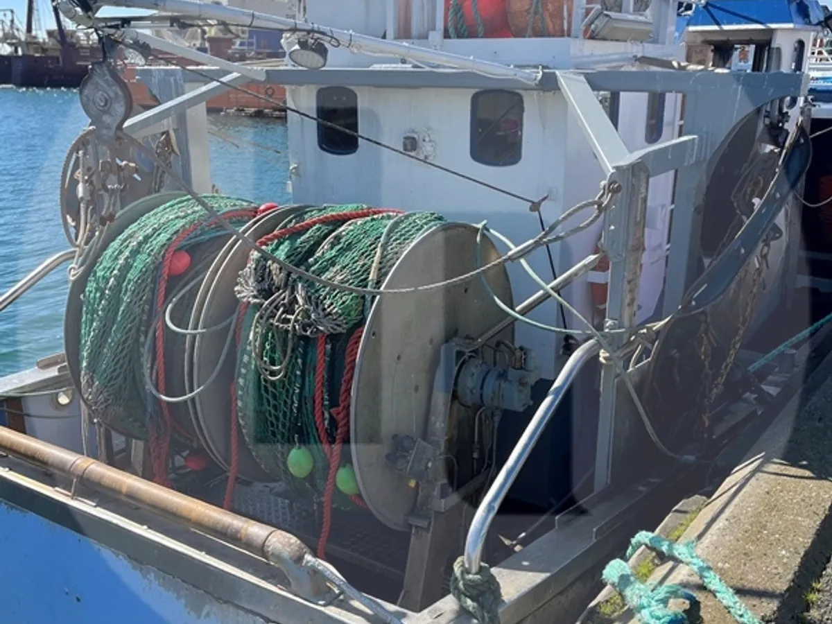 Live fish carrier for sale
