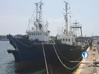 Trawler for sale