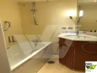 Cruise ship for sale