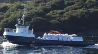 Workboats for sale