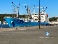 Reefer ship for sale