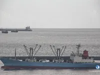 Reefer ship for sale