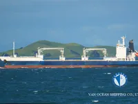 Reefer ship for sale