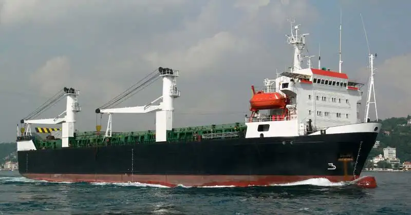Reefer ship for sale
