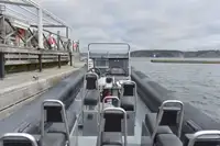 Rigid inflatable boat for sale