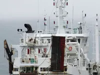 Trawler for sale