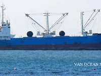 Reefer ship for sale