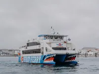 Ferry vessel for sale