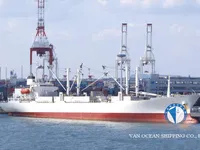 Reefer ship for sale
