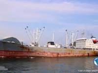 Reefer ship for sale