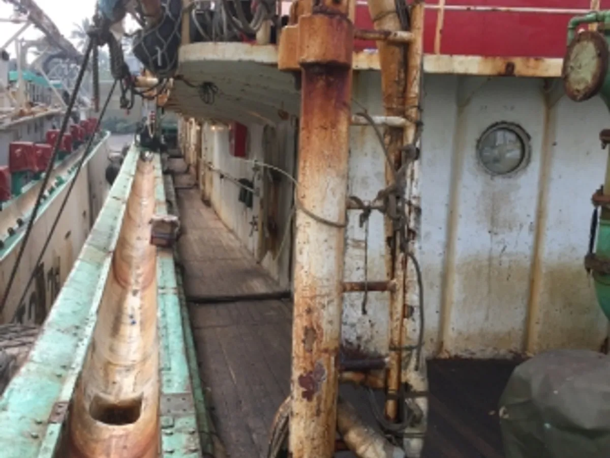 Squid jigger for sale