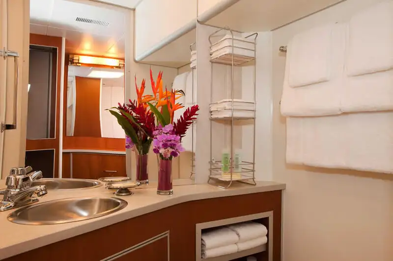 Cruise ship for sale