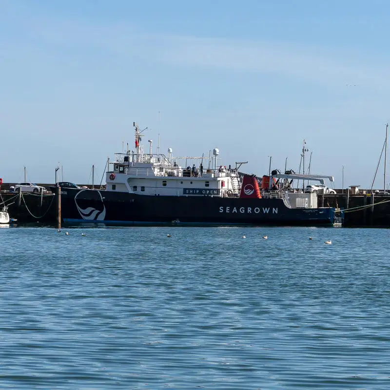 Survey vessel for sale