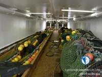 Trawler for sale