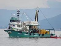 Purse seiner for sale