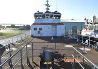 Catamaran for sale