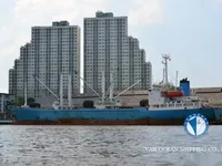 Reefer ship for sale