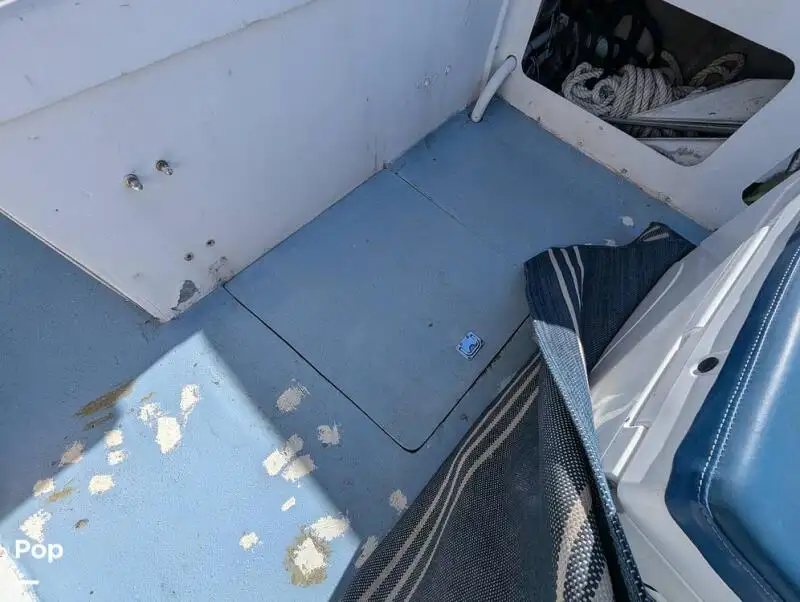 Cruiseferry for sale