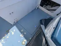 Cruiseferry for sale