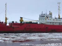 Reefer ship for sale