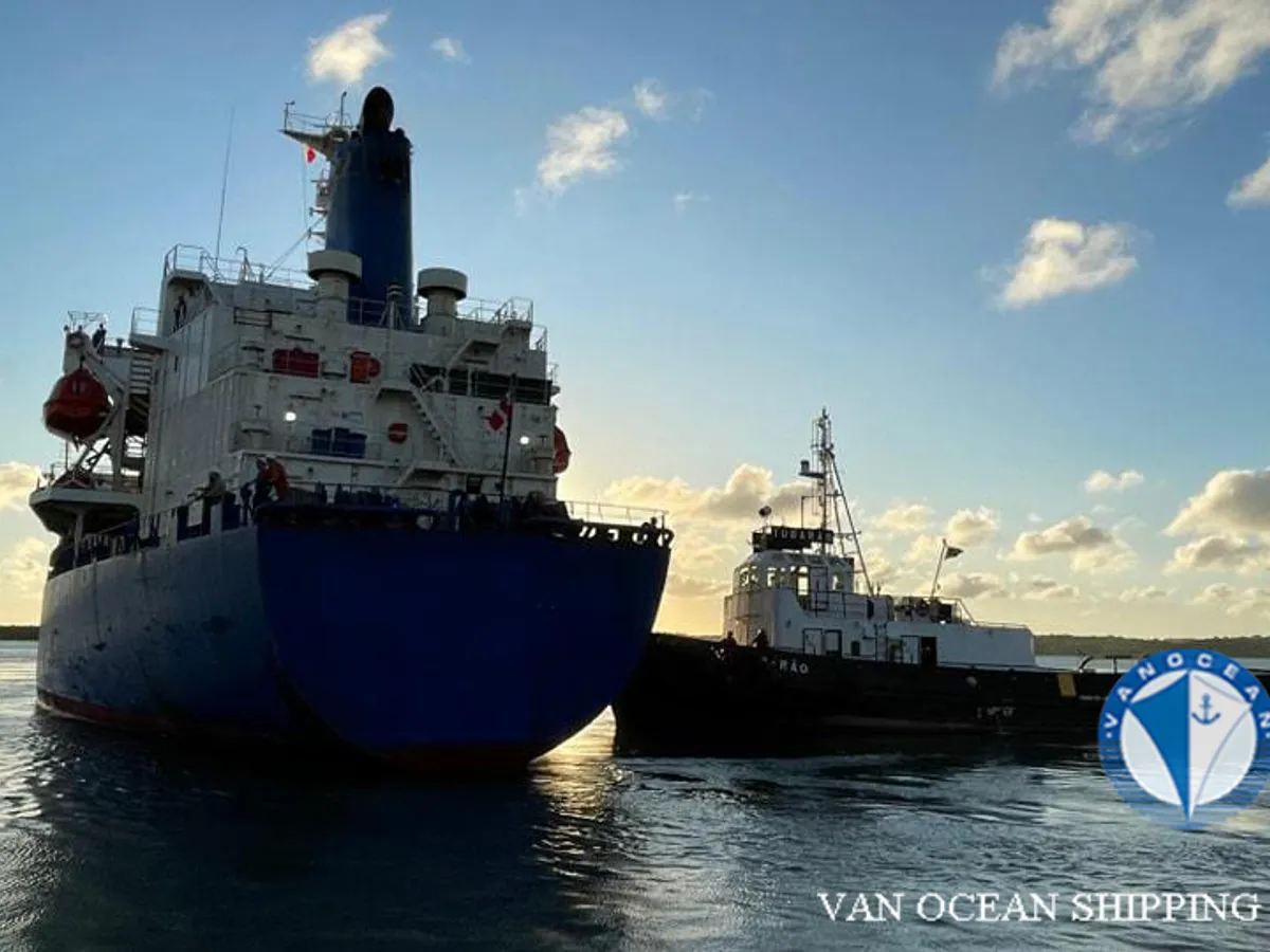 Reefer ship for sale
