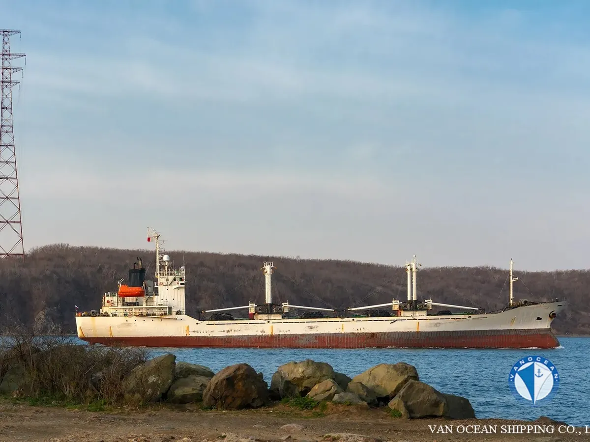 Reefer ship for sale