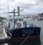Workboats for sale