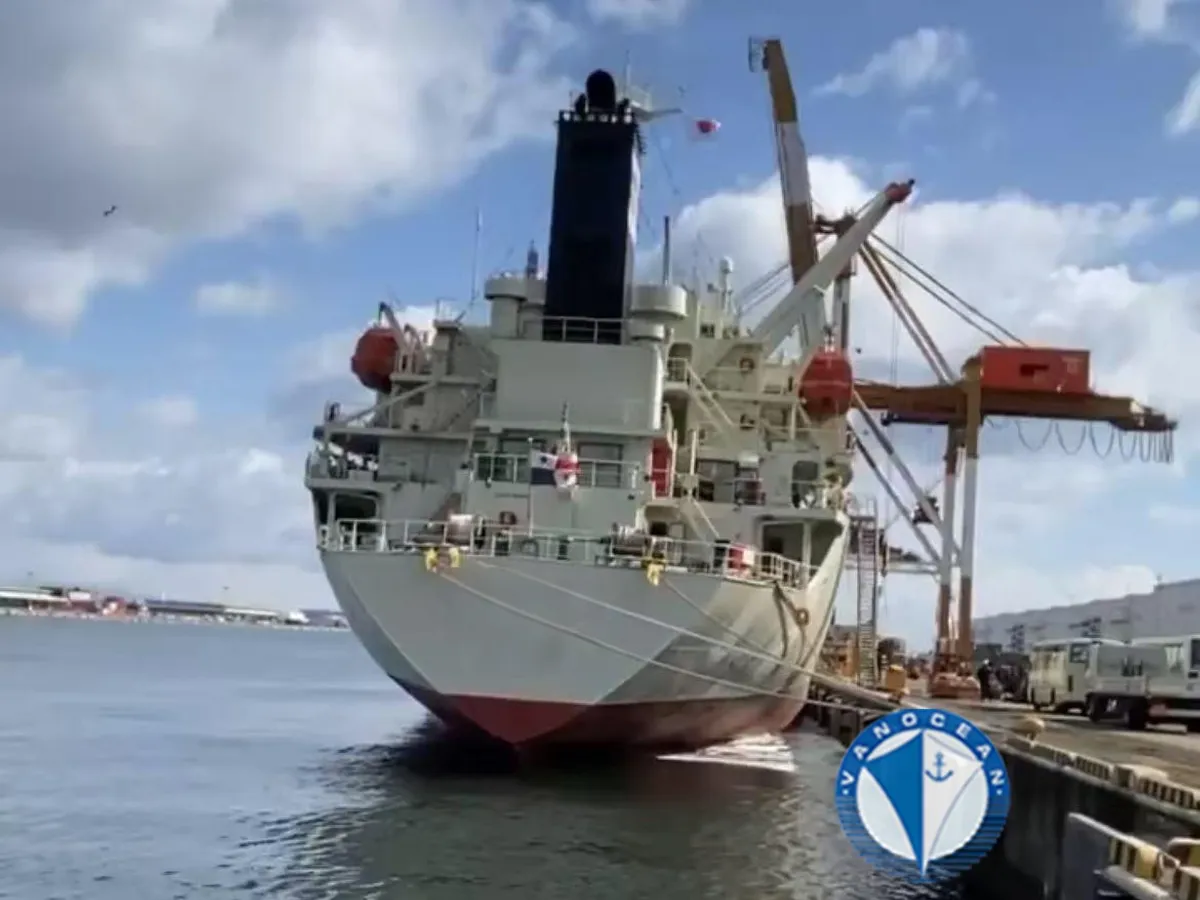 Reefer ship for sale