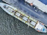 Reefer ship for sale