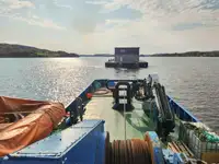 Towboat for sale