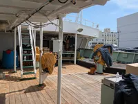 Longliner for sale