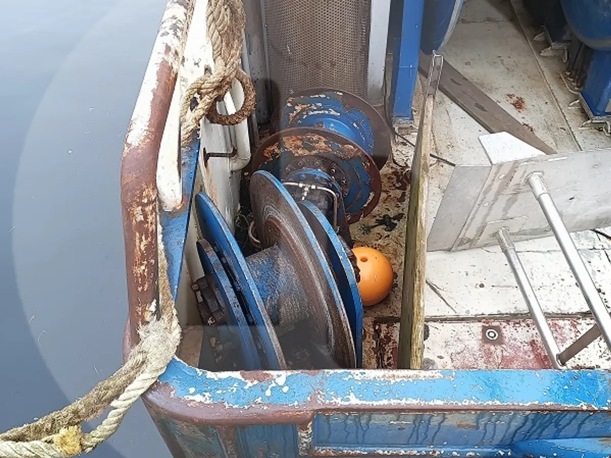 Live fish carrier for sale