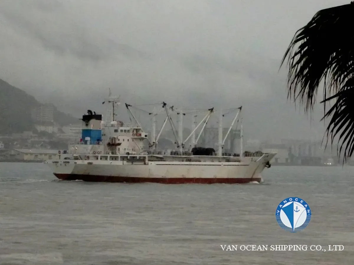 Reefer ship for sale