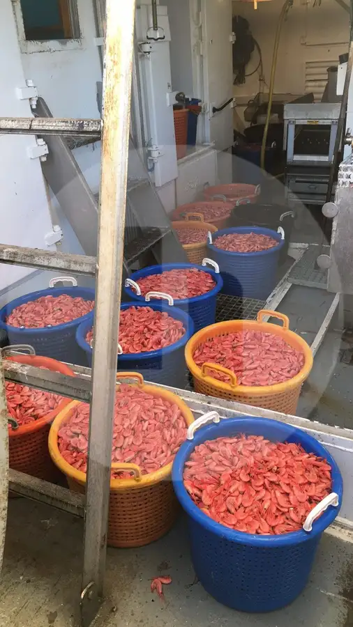 Beam trawler for sale