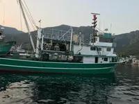 Purse seiner for sale