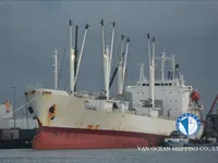 Reefer ship for sale