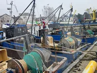 Live fish carrier for sale