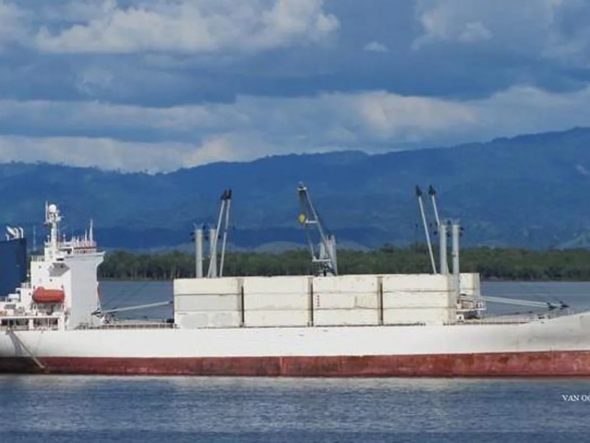 Reefer ship for sale