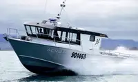 Ferry vessel for sale