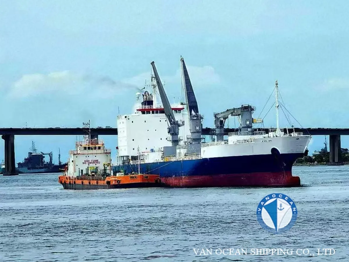 Reefer ship for sale