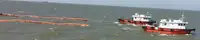 Pilot boat for sale