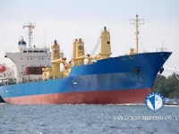 Reefer ship for sale