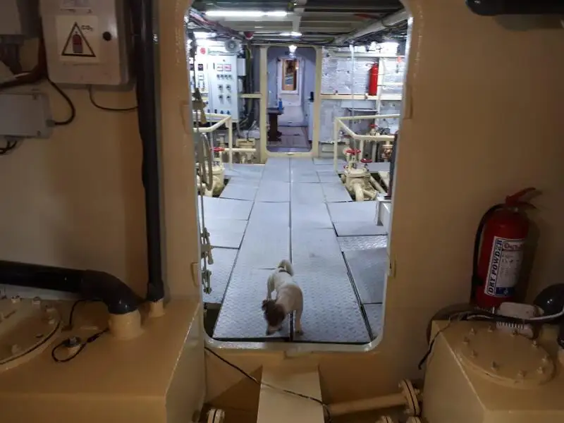 General Cargo/Multi-purpose for sale